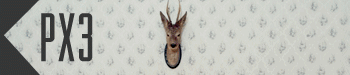 banner px3.bmp
