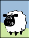 Angry Lamb