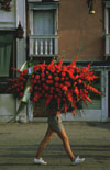 documentary photographers