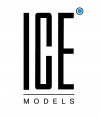 Ice Models