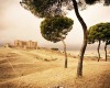 landscape photographers