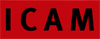 Icam - Instituto do Cinema , Audiovisual e Multimedia