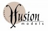 Fusion Models