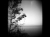 landscape photographers