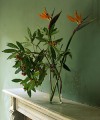 interiors & exteriors photographers