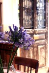 interiors & exteriors photographers