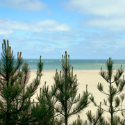 landscape photographers