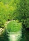 landscape photographers