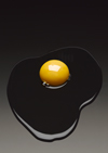 Karin Taylor