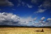 landscape photographers