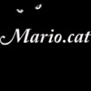 Mario.cat