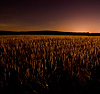 landscape photographers