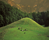 landscape photographers