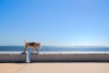 animal photographers