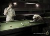 animal photographers