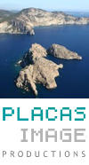 Placas Image