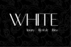 White Studio Ibiza