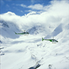 aerial photographers