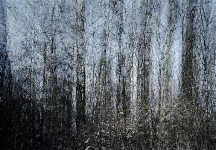 landscape photographers
