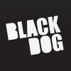 BLACK DOG