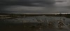 landscape photographers
