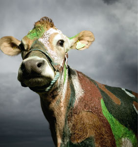 The Moretti Agency