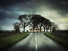 Julian Calverley