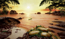 :  gallery