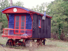 :  gallery