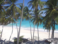 Caribbean Production Service