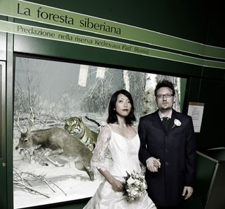 Maurizio Cigognetti