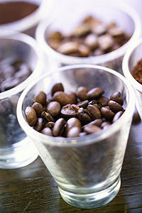  The Art of Cappuccino gallery