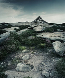 :  gallery
