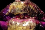 hansdevries photography