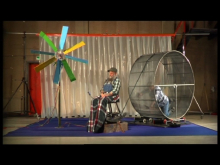 Client: J&B Spain-Nightology RabbitMan-TV47 gallery