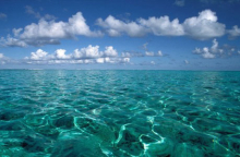  Great Barrier Reef Marine Park gallery