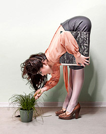 Title: Secretary Cat by Monica Menez gallery