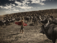 Photographer: Guy Neveling gallery