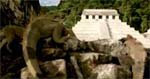 Title: Turismo Chiapas gallery