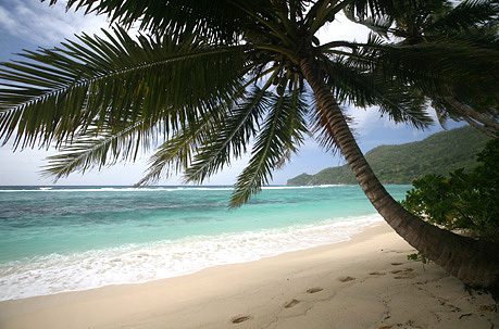Globotour Travel Reise-Service
