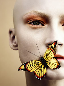:  gallery