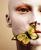 COVER PHOTO: GIULIANO BEKOR