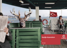 Photographer: Gokce Erenmemisoglu  gallery
