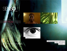 Client: Senso gallery