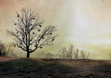 Photo: Hernan Churba for Playstation 3 gallery