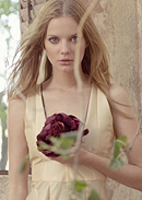 :  gallery