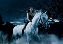 :  gallery
