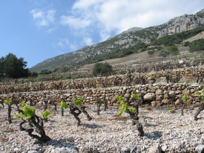 Dubrovnik: Adriatic Productions 