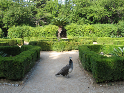 Croatia: Adriatic Productions 