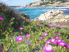 Sardegna Productions